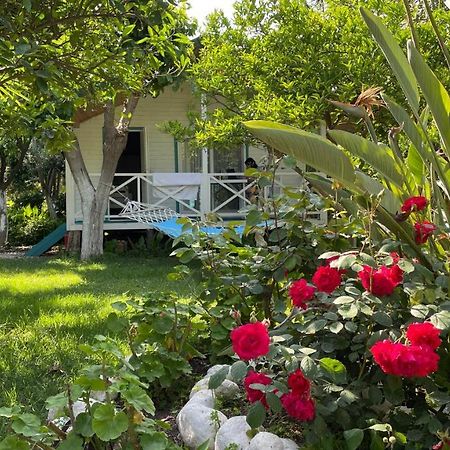 Bellerofon Beach Otel Çıralı Kültér fotó