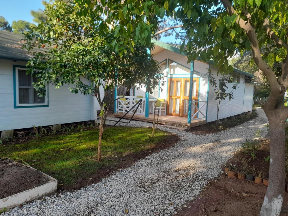 Bellerofon Beach Otel Çıralı Kültér fotó