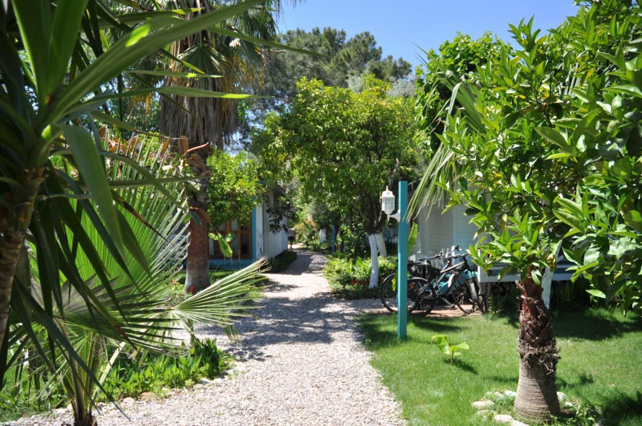 Bellerofon Beach Otel Çıralı Kültér fotó