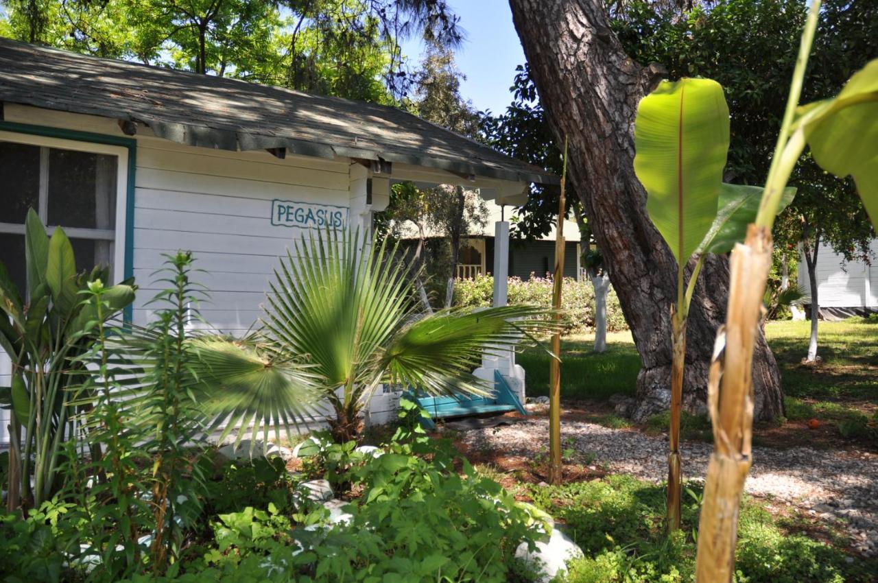 Bellerofon Beach Otel Çıralı Kültér fotó