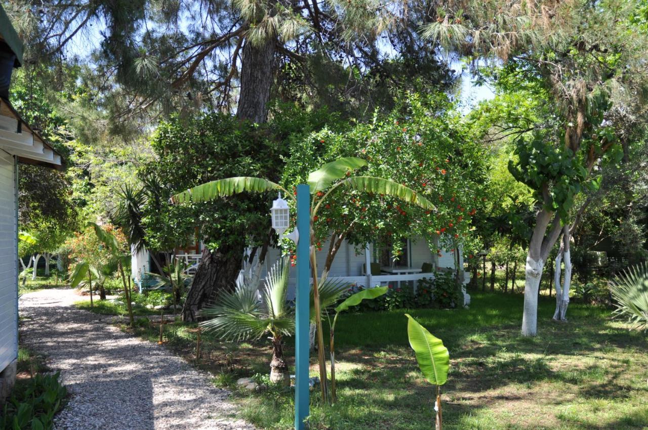 Bellerofon Beach Otel Çıralı Kültér fotó