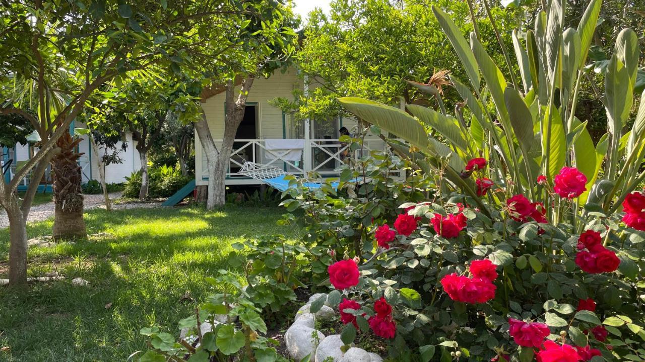 Bellerofon Beach Otel Çıralı Kültér fotó