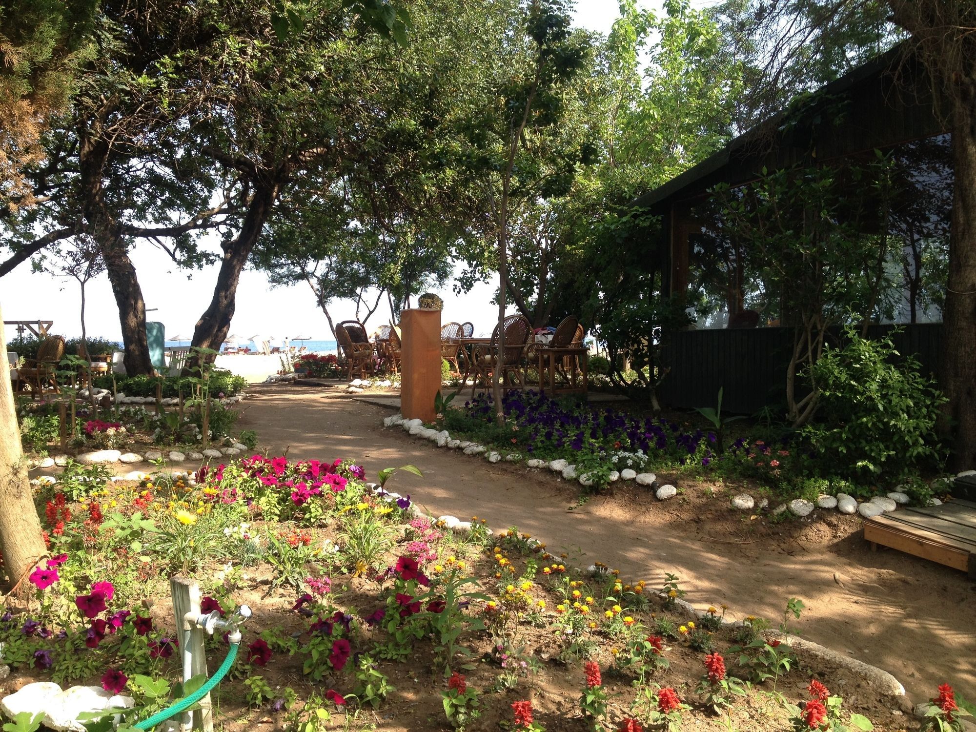Bellerofon Beach Otel Çıralı Kültér fotó